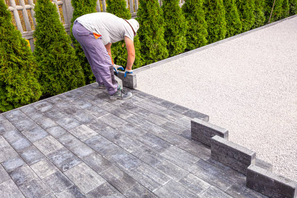 Best Driveway Repair Near Me  in Holly Springs, MS